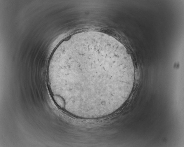 X0000116510003201001061233