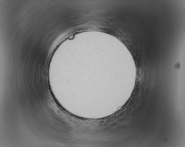 X0000116510004201001061233