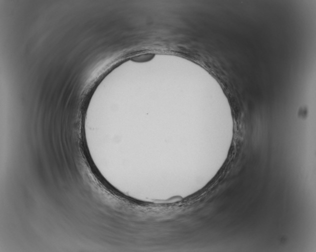 X0000116510005201001061233