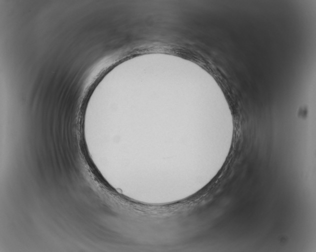 X0000116510006201001061233
