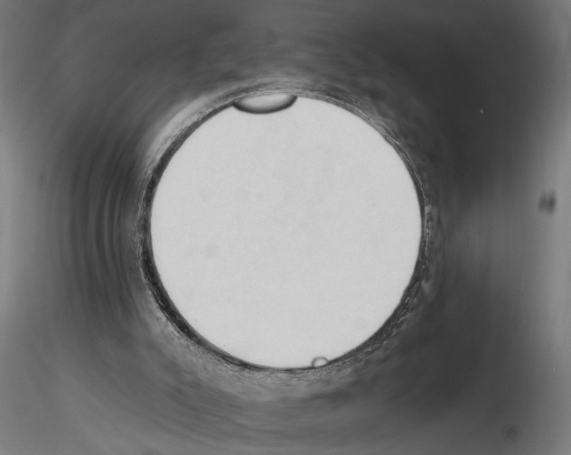 X0000116510007201001061233