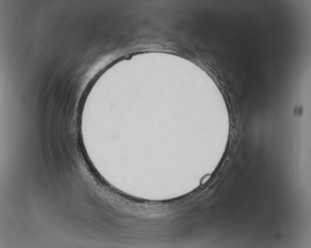 X0000116510008201001061233