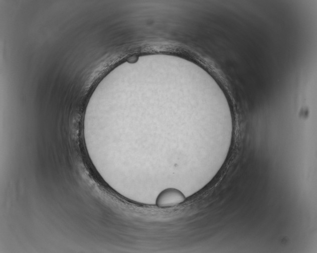 X0000116510010201001061233