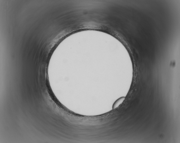 X0000116510011201001061233