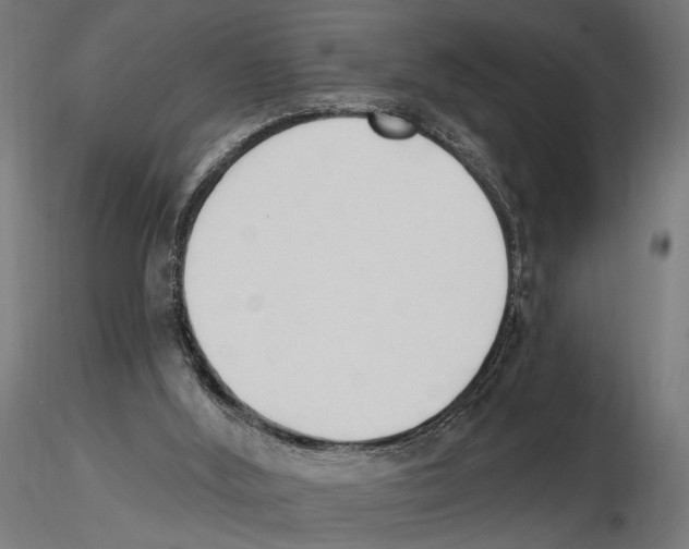 X0000116510012201001061233