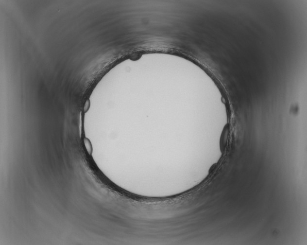 X0000116510013201001061232