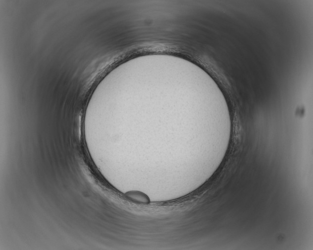 X0000116510014201001061232
