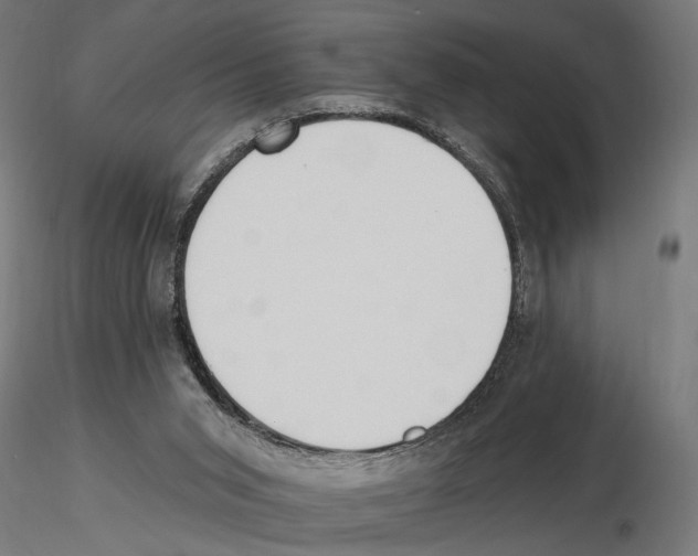 X0000116510015201001061232