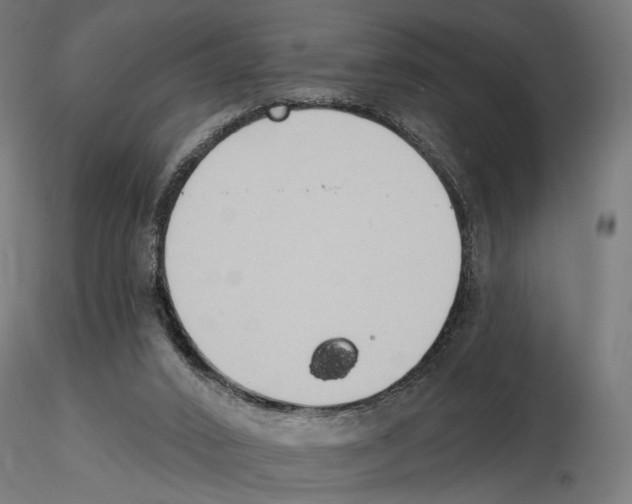 X0000116510016201001061232