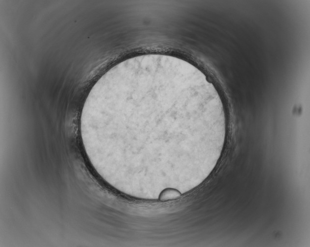 X0000116510017201001061232