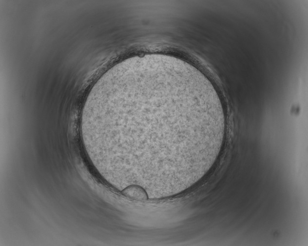 X0000116510018201001061232