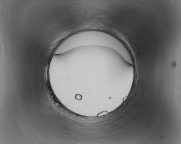 X0000116510019201001061232