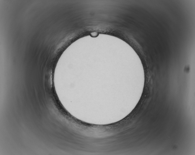 X0000116510020201001061232