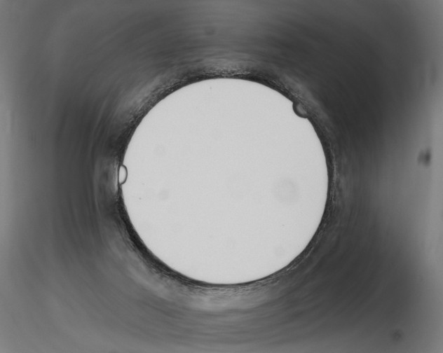 X0000116510021201001061232