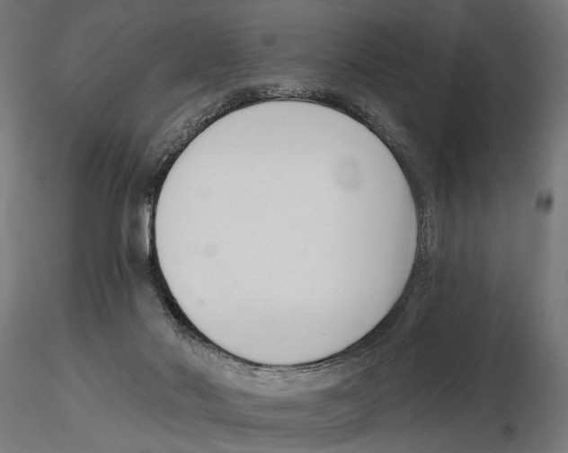 X0000116510022201001061232