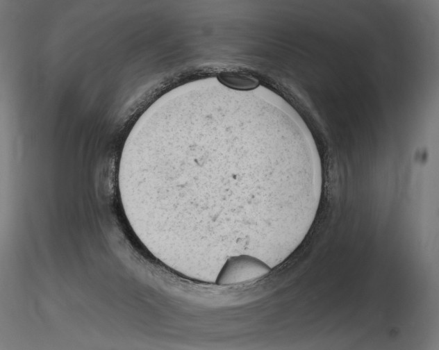 X0000116510023201001061232