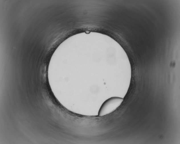 X0000116510024201001061232