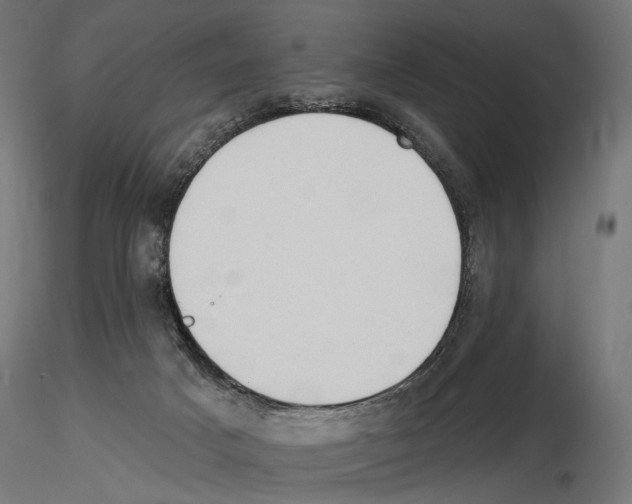 X0000116510025201001061232