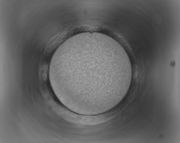 X0000116510026201001061232