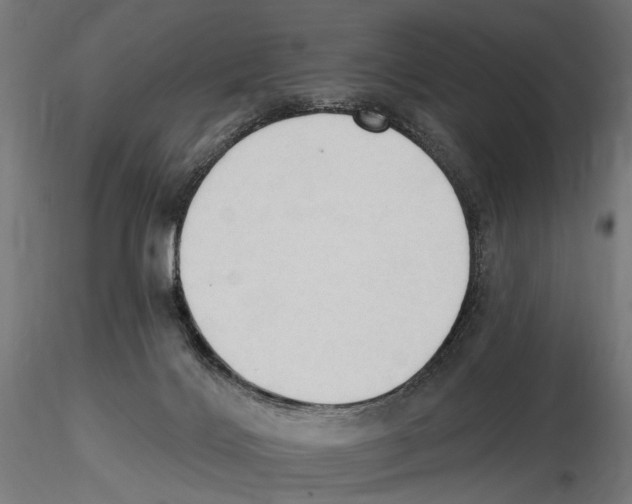 X0000116510028201001061232