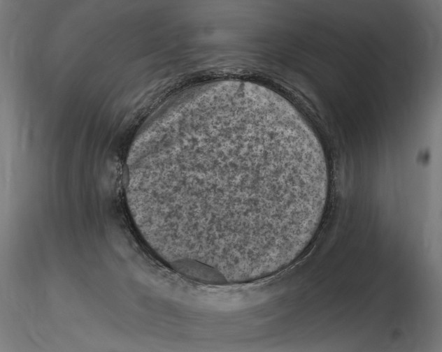 X0000116510029201001061232