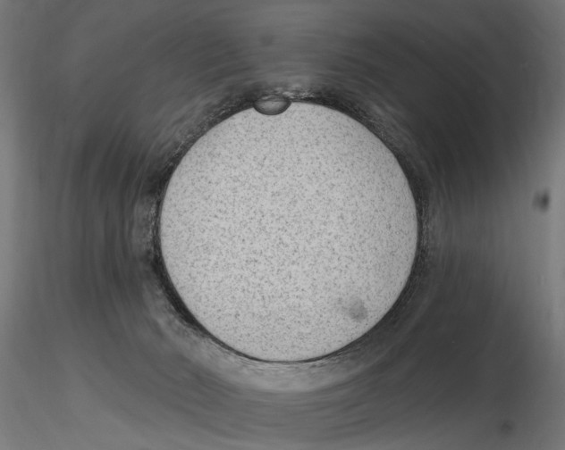 X0000116510030201001061232