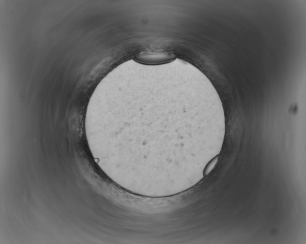 X0000116510031201001061232