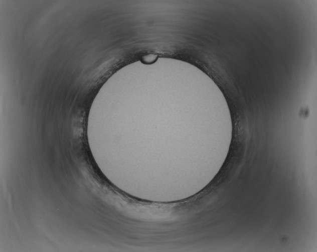 X0000116510032201001061232
