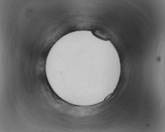 X0000116510033201001061232
