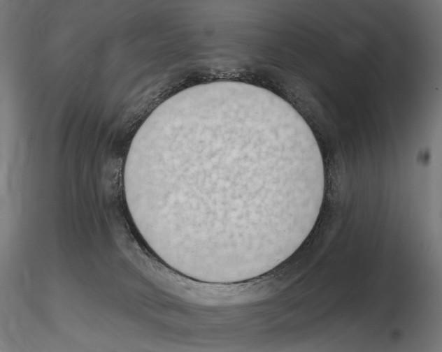 X0000116510034201001061232