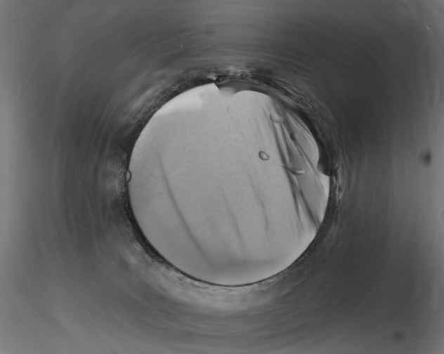 X0000116510035201001061232