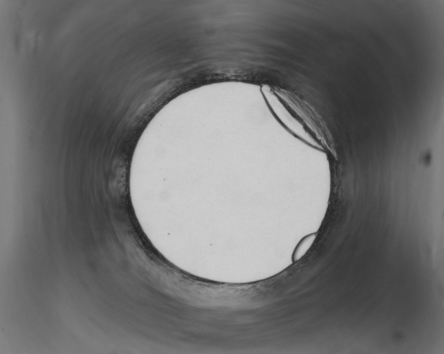 X0000116510036201001061232
