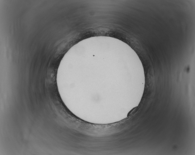 X0000116510037201001061232