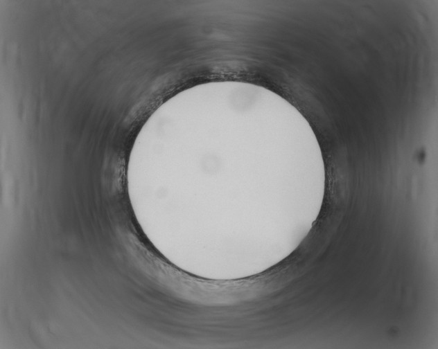X0000116510038201001061232