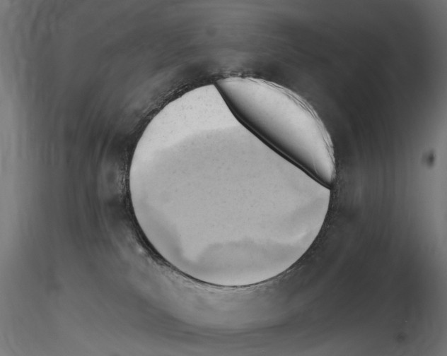 X0000116510039201001061232
