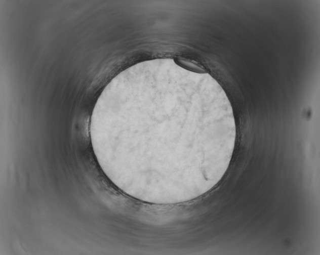 X0000116510041201001061232