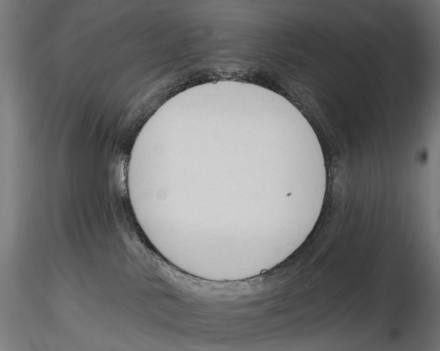 X0000116510042201001061232