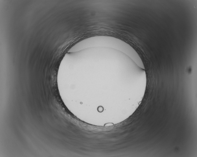 X0000116510043201001061232