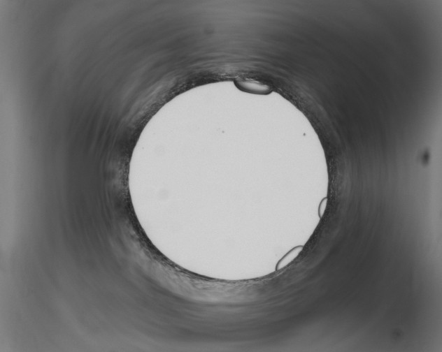 X0000116510044201001061232