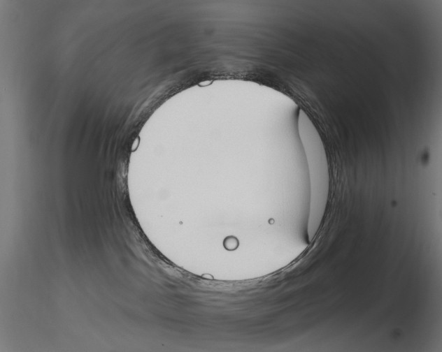 X0000116510045201001061232
