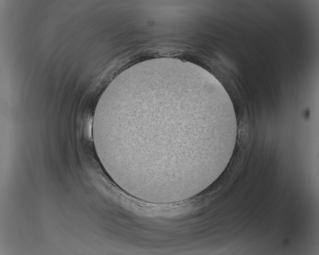 X0000116510046201001061232