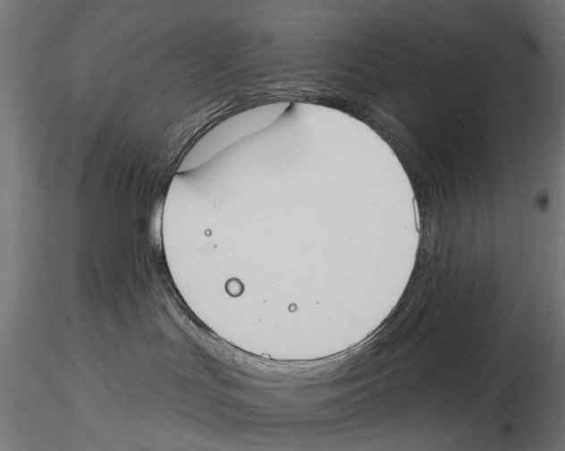 X0000116510047201001061232