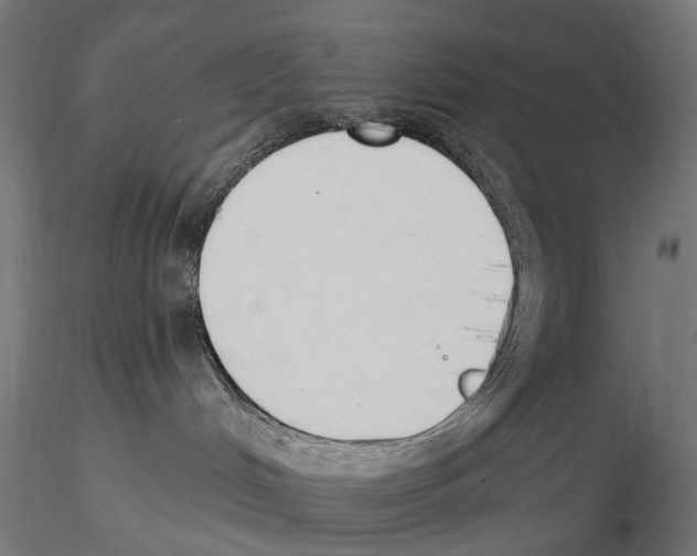 X0000116510048201001061232