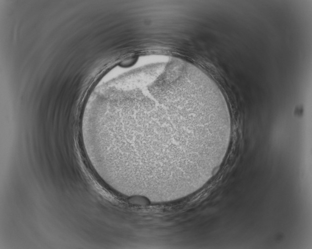 X0000116510049201001061231