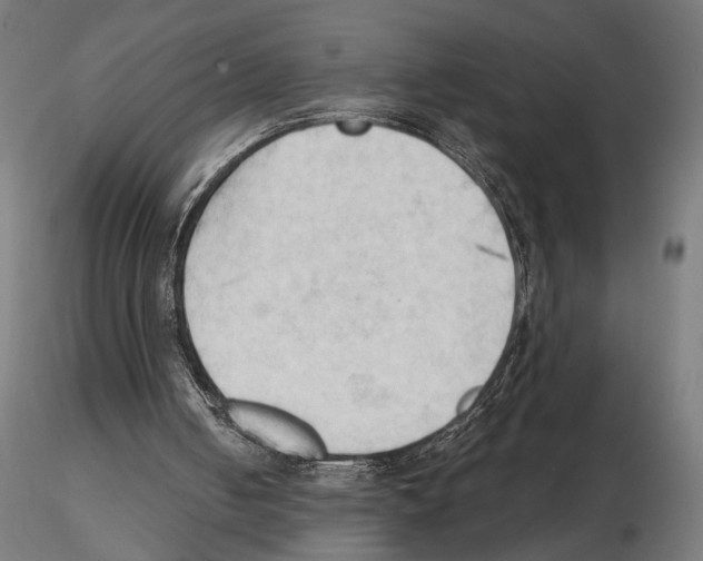 X0000116510050201001061231