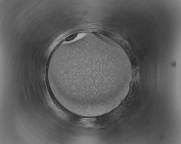 X0000116510051201001061231