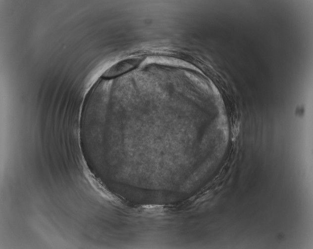 X0000116510052201001061231