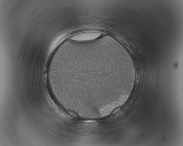 X0000116510053201001061231