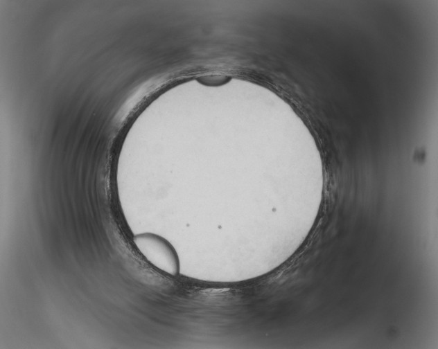 X0000116510054201001061231