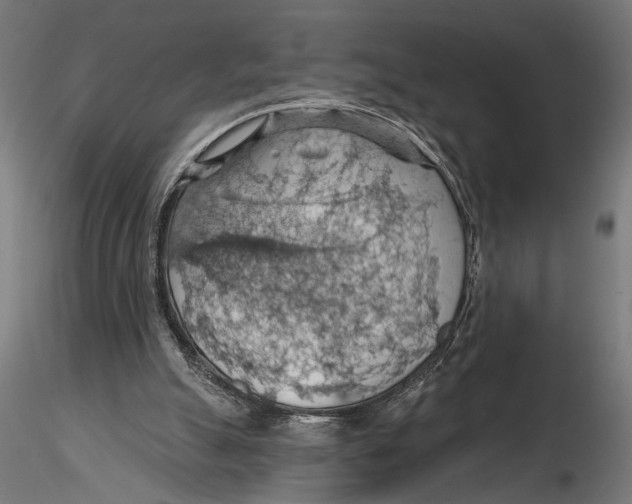 X0000116510055201001061231